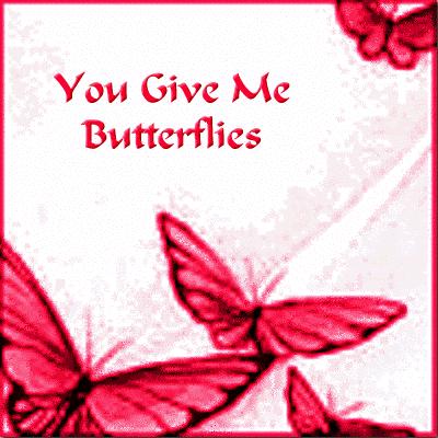 Papillon 19