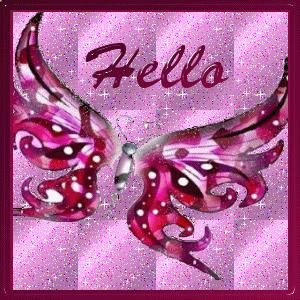 Papillon 13
