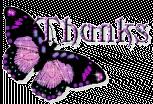 Papillon 22