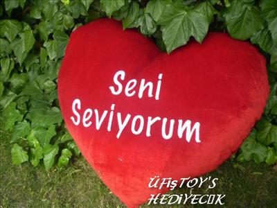 KALPLİ YASTIK