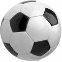 Palla da calcio