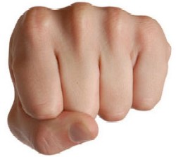 Fist