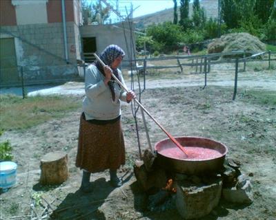 taze salça
