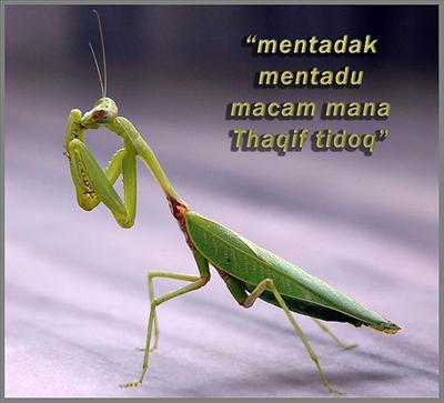 da mentadakk