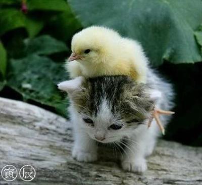 best friends