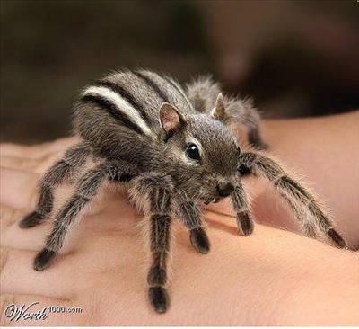 horrifyingly cute