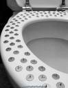 toilet prank
