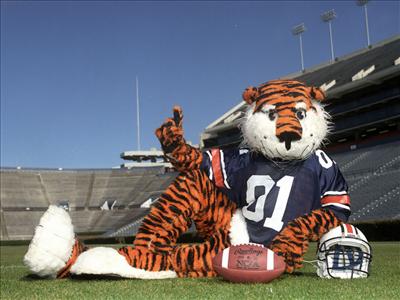 Aubie