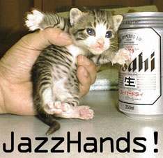 Jazz Cat