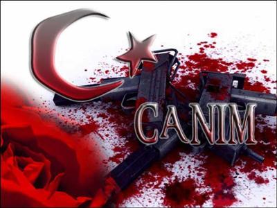 türk