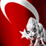 türk