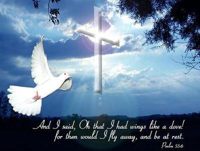 Like a Dove