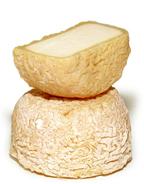 Chevrot