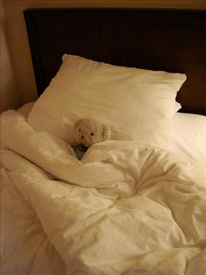 Comfy bed