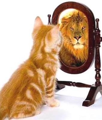 Self esteem