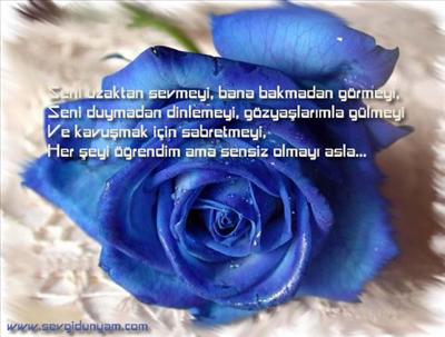 gül