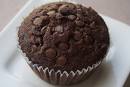 Chocolate Chocolate Chip