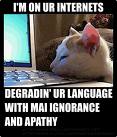 the lolcat who ruined your internet business