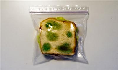 the sandwhich you found in your locker