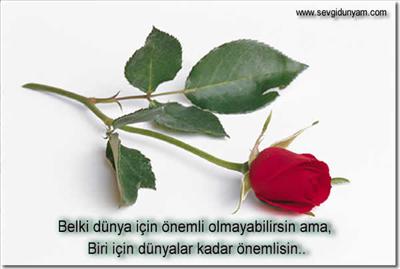 çiçek 8