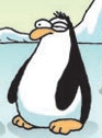 penguen 