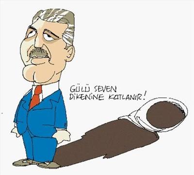 Gülü Seven (Siyasi)