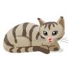 Kedi Yavrusu (Kitten)