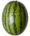 melon