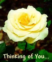 thinking of u