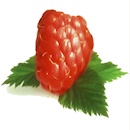 Frambuaz
