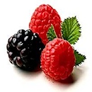 Böğürtlen & Frambuaz
