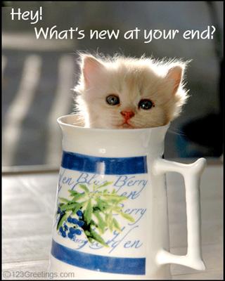 Funny