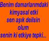 Sen aşıq Deilsin olum Seninki Etkiye Tepki..