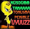 Sana Küsüm...
