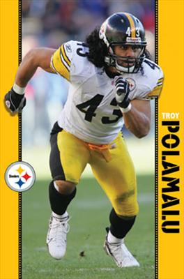 Troy Polamalu