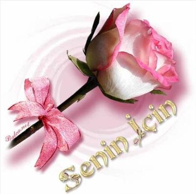 Flower345