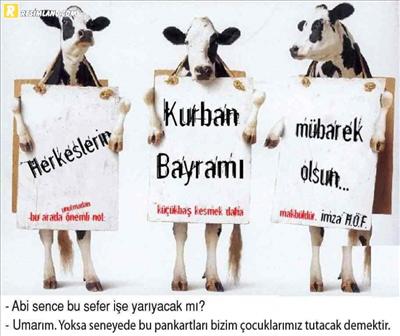 kurban