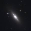The stars