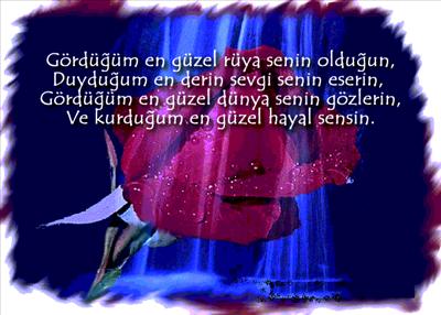 gül 2