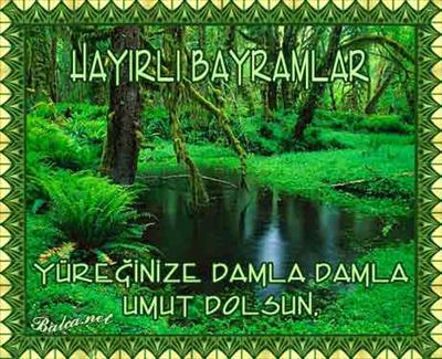 gül5