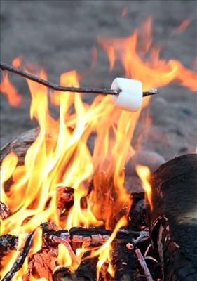 Roasting Marshmallows