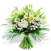 SPECİAL SERRA http://www.serraçiçekçilik.com