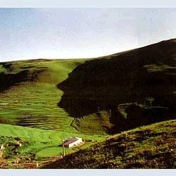DÜNYANIN 8.HARİKASI