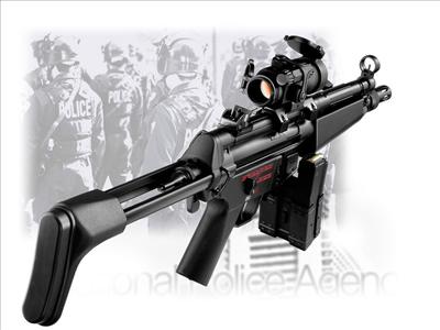 Gun