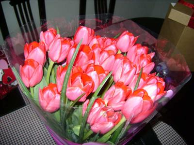 31 tulipanes porque se que tus flores favoritas son los tulipanes, y 31 de ellos por otro mes de romance.
