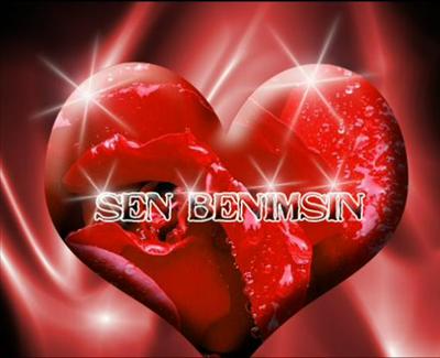 sen benimsin