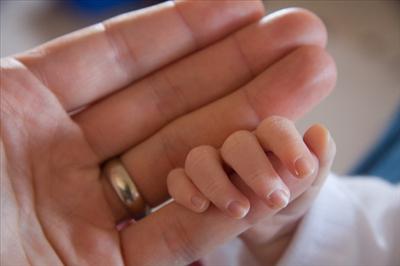 Baby Handshake