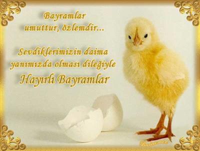 BAYRAM
