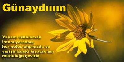 günaydın