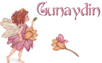 günaydın